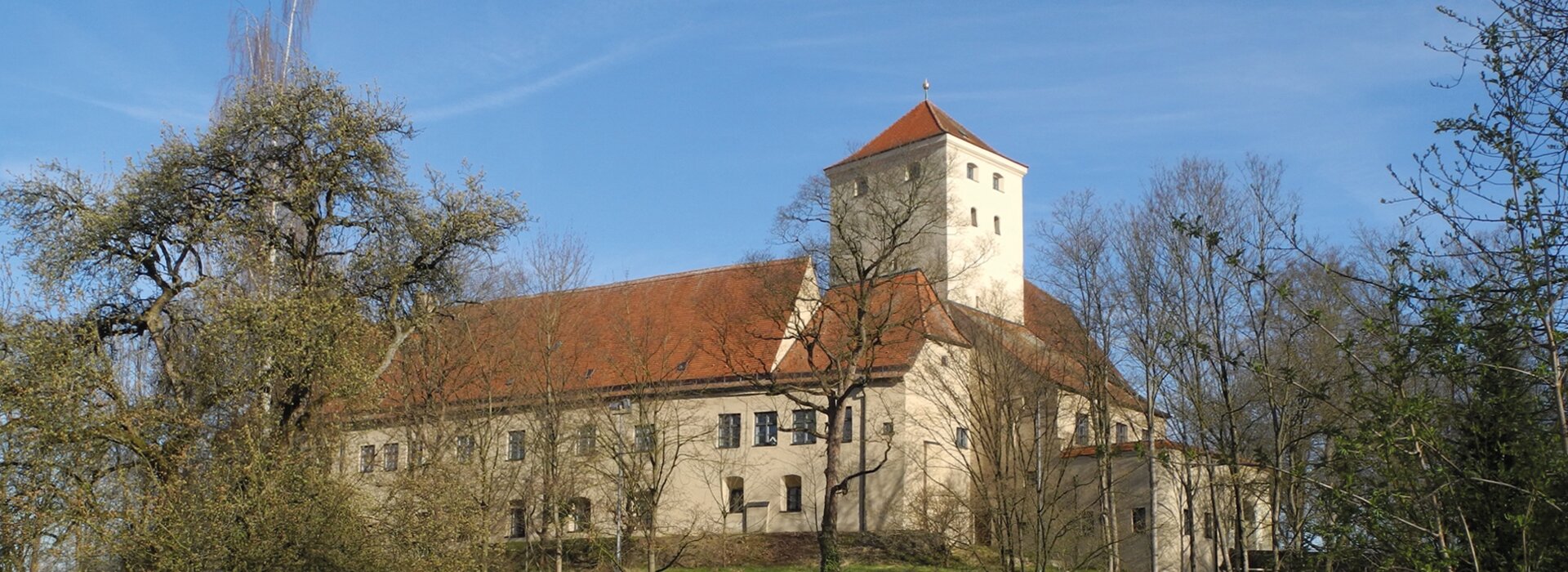 Historische Burg mit Turm und Bäumen